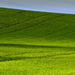 Linien In Der Natur Die Gelegentliche Dosis Wald Und See