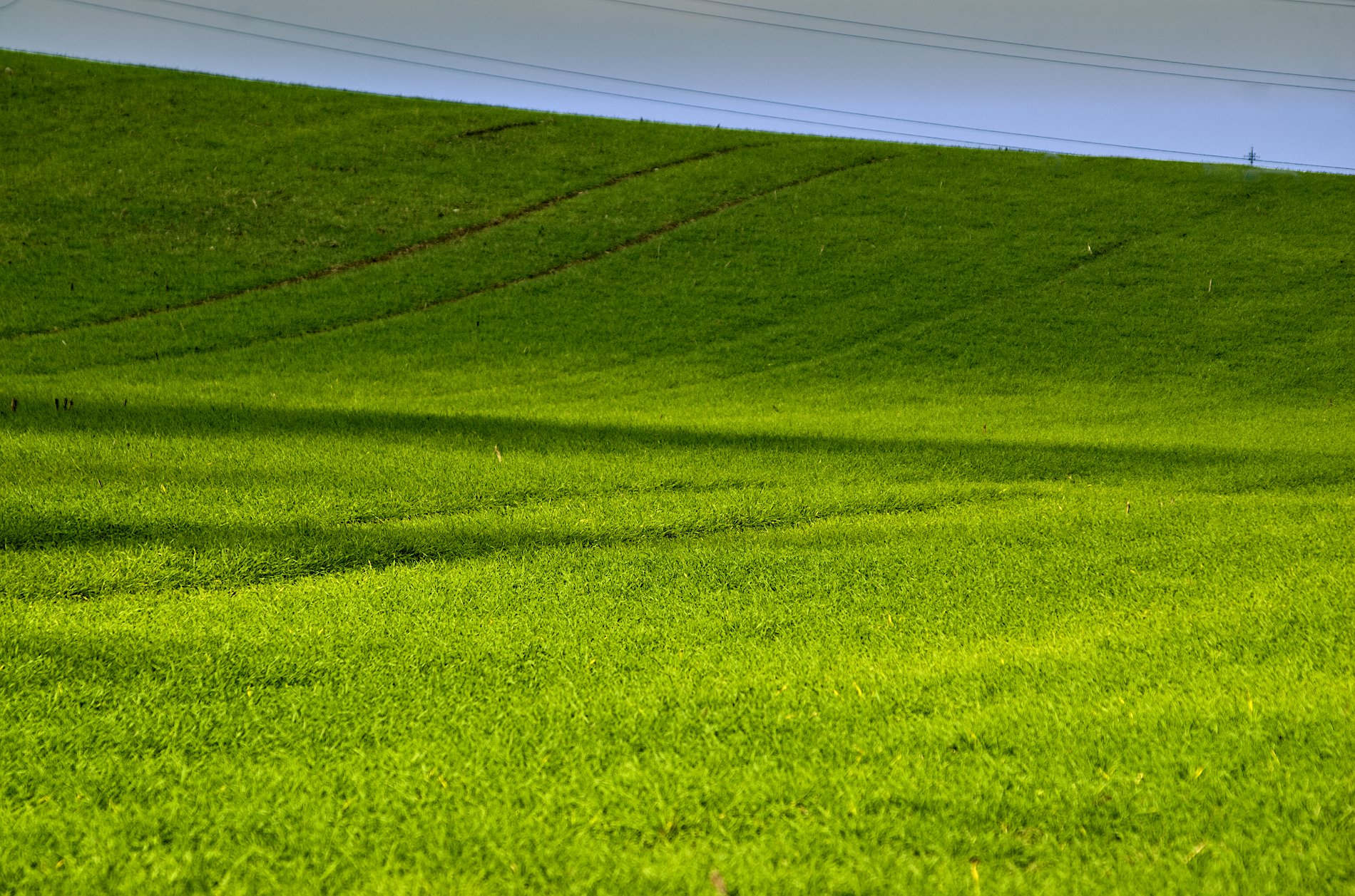 Linien In Der Natur Die Gelegentliche Dosis Wald Und See