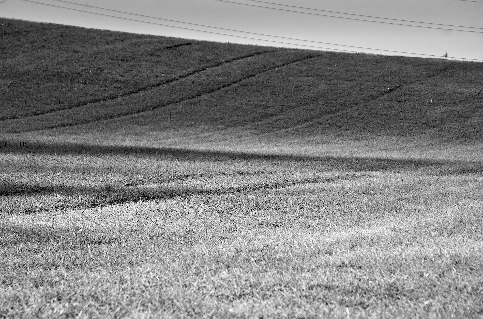 Linien In Der Natur Die Gelegentliche Dosis Wald Und See