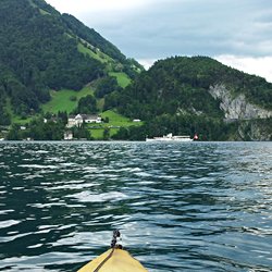 Kursschiff vor dem Vitznauerstock