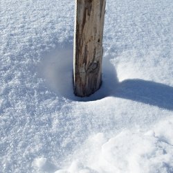 Holzfposten im Schnee