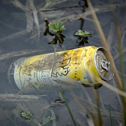 ungeöffnete Bierdose im See